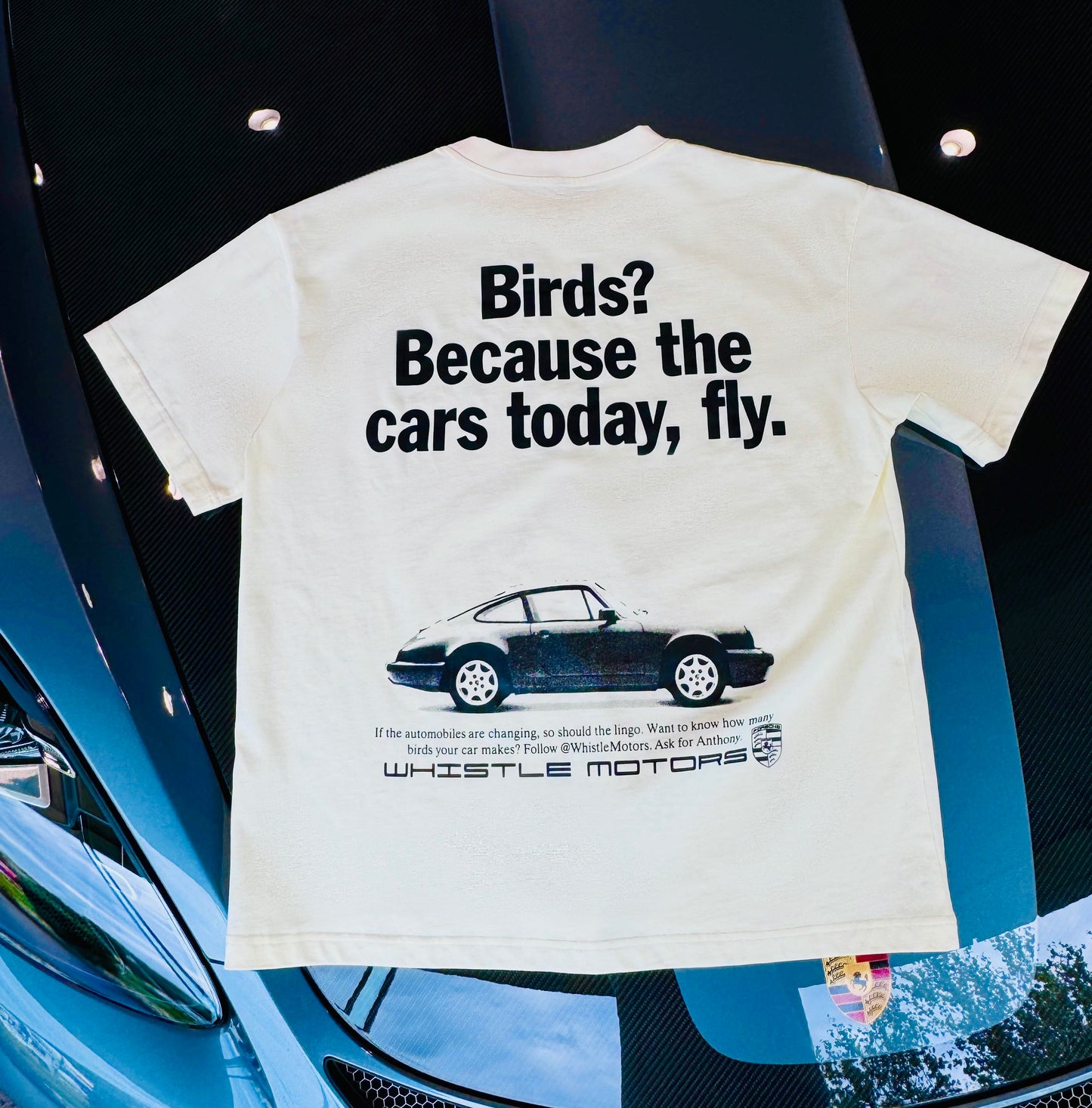 Birds T-Shirt - Vintage Oversized Fit